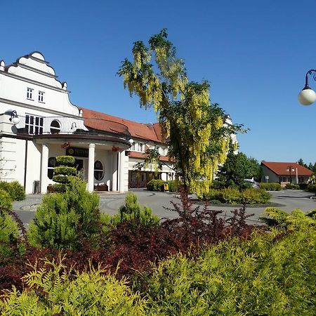 Hotel Wityng Slesin  Exterior photo